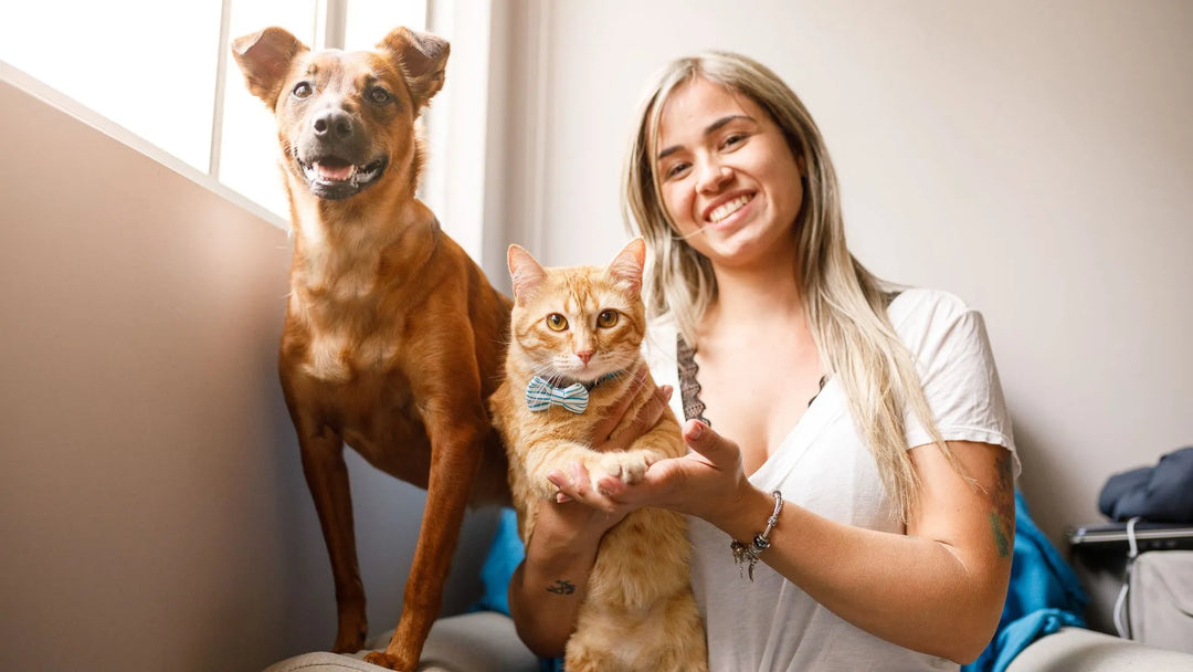 What's the Most Effective Rapamycin Anti-Aging Dosage for Pets?