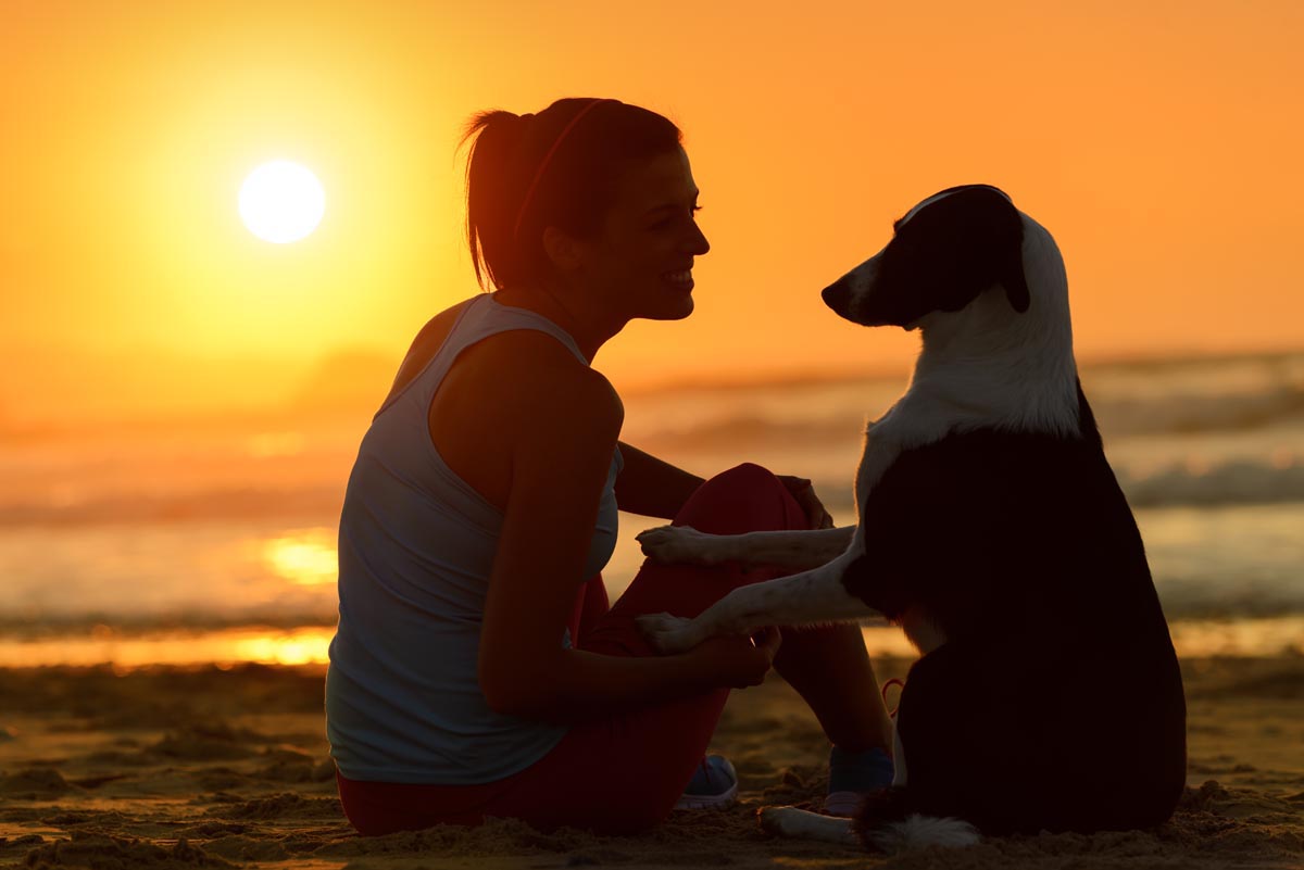 Anti-Aging Supplements for Dogs
