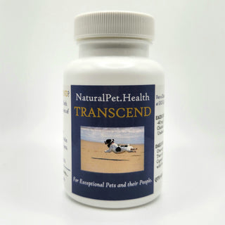 TRANSCEND.  Better than Glucosamine/Chondroitin. .. and Cheaper Too.