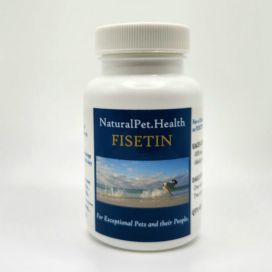 FISETIN FOR DOGS: The New Senolytic