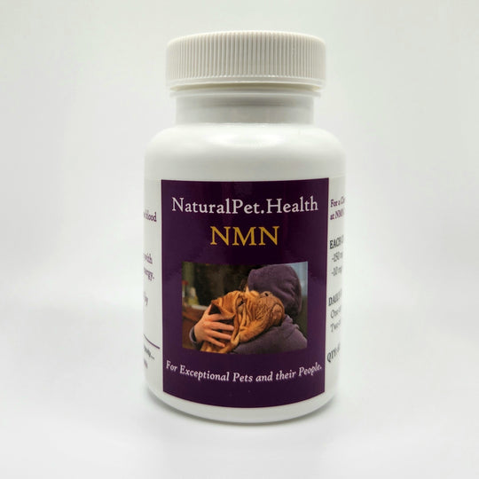 NMN FOR PETS -- Boost Your Pet's Cellular Energy.