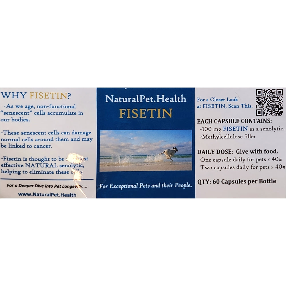 FISETIN FOR DOGS: The New Senolytic