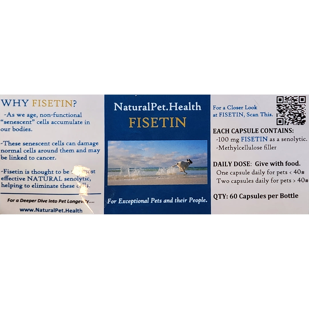 FISETIN FOR DOGS: The New Senolytic