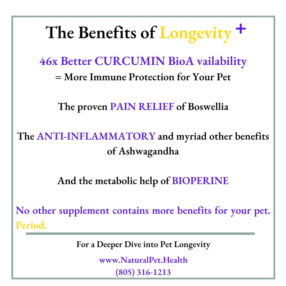 LONGEVITY PLUS-- The ONE Supplement EVERY dog needs.