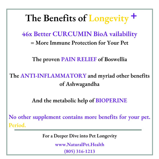 LONGEVITY PLUS-- The ONE Supplement EVERY dog needs.