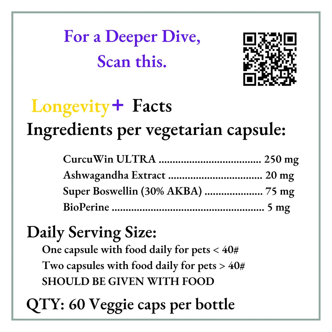 LONGEVITY PLUS-- The ONE Supplement EVERY dog needs.