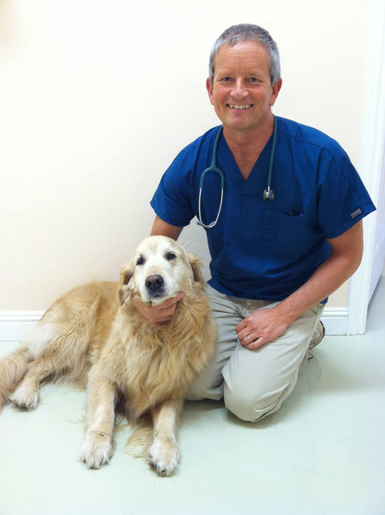 Personal Consults with Dr. Kevin -- When You Need Help NOW.