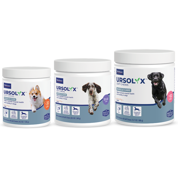 URSOLYX -- The NEW Natural Way to Restore Muscle Mass