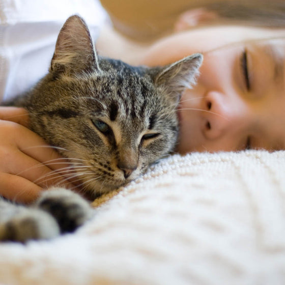 RAPAMYCIN FOR CATS -- Help Your Cat Love You Longer.