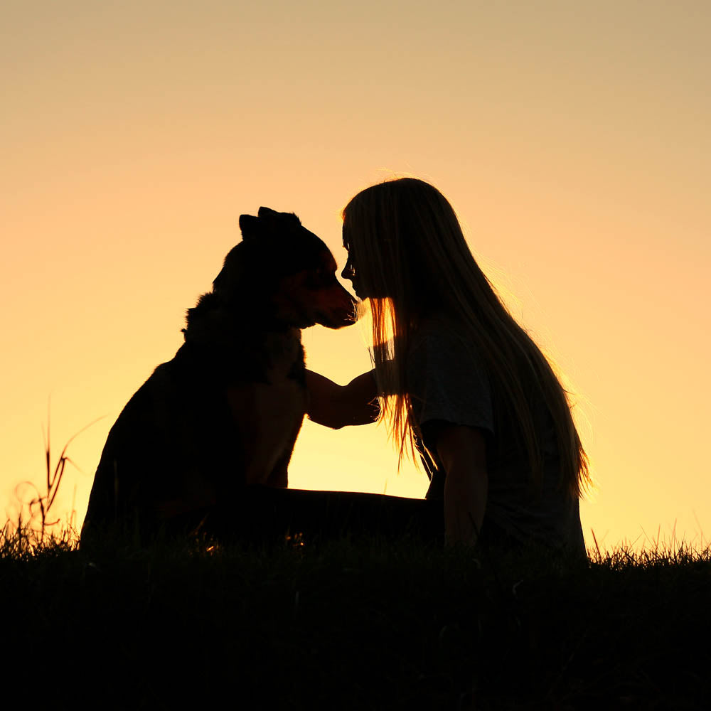 ACARBOSA PARA PERROS