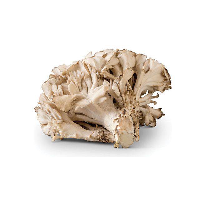 Maitake mushrooms for dogs