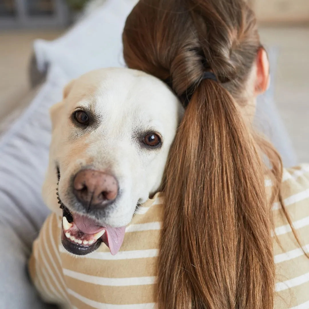 Joint Pain Relief for Dogs
