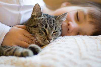 Helping Your Cat's Bladder Pain