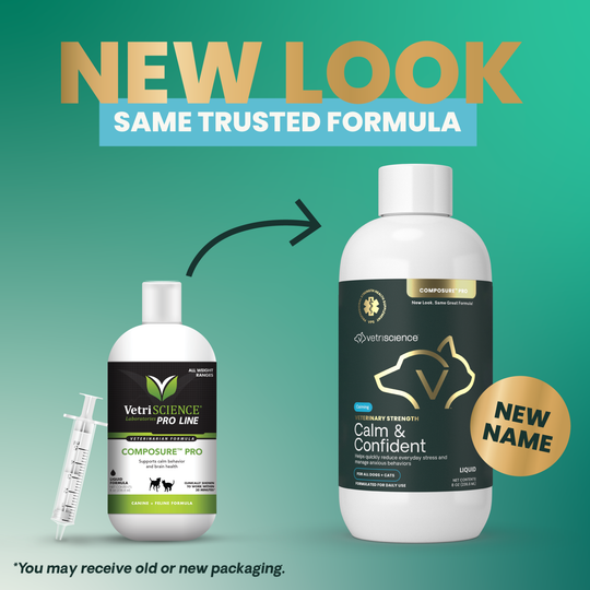 Veterinary Strength Calm & Confident Liquid for Dogs & Cats