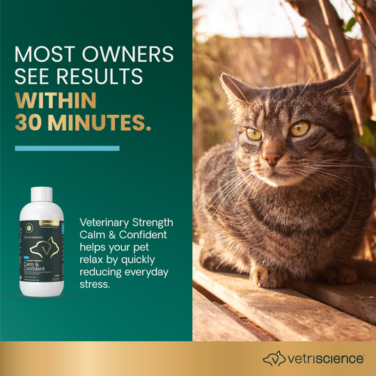 Veterinary Strength Calm & Confident Liquid for Dogs & Cats