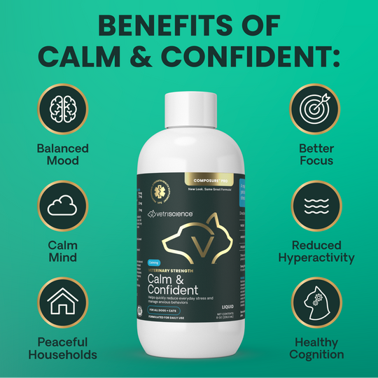 Veterinary Strength Calm & Confident Liquid for Dogs & Cats