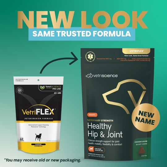 Veterinary Strength Healthy Hip & Joint for Large Dogs