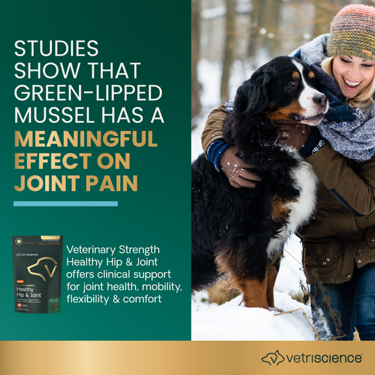 Veterinary Strength Healthy Hip & Joint for Large Dogs