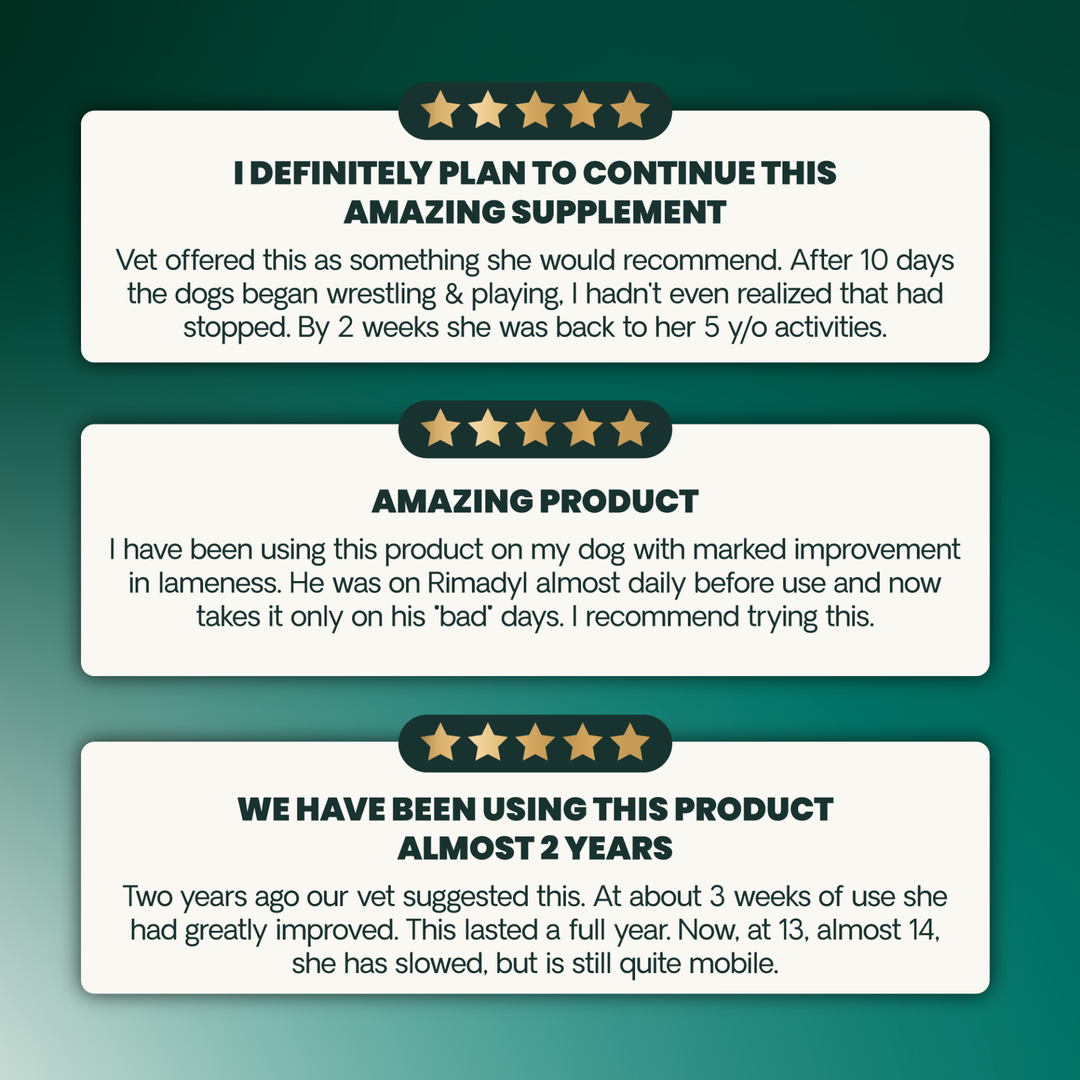 Veterinary Strength Healthy Hip & Joint for Large Dogs