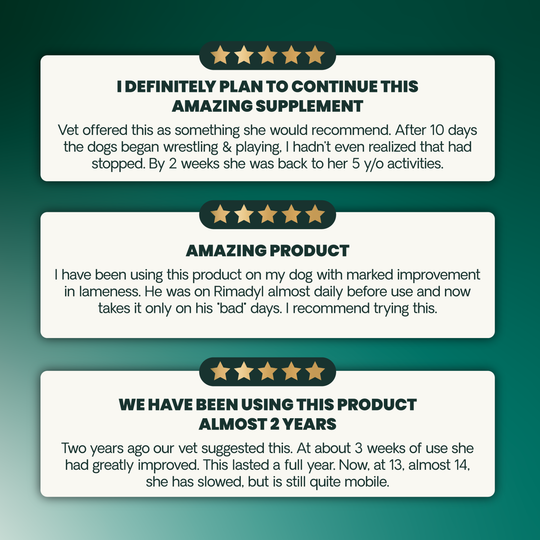 Veterinary Strength Healthy Hip & Joint for Large Dogs