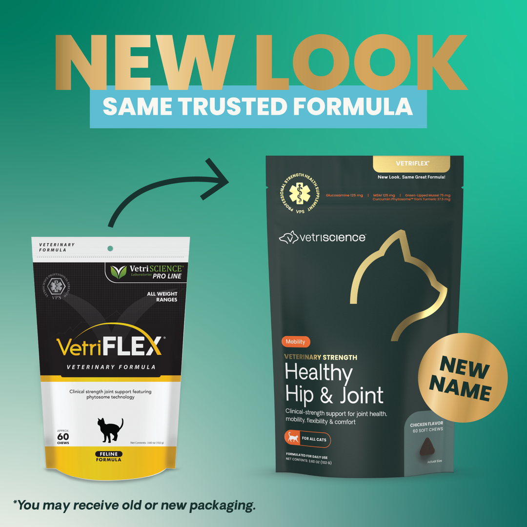 Veterinary Strength Healthy Hip & Joint for Cats
