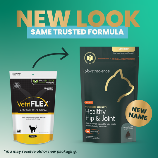 Veterinary Strength Healthy Hip & Joint for Cats