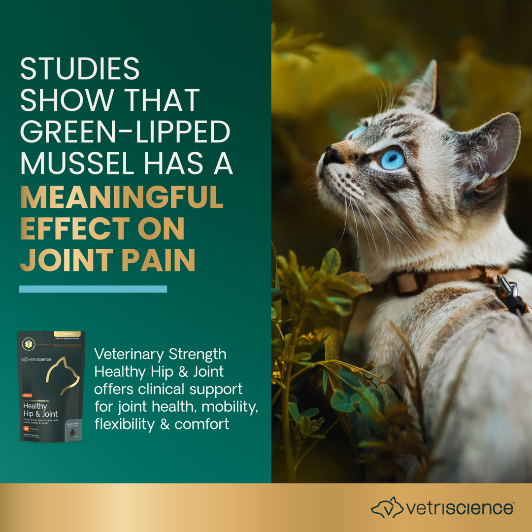 Veterinary Strength Healthy Hip & Joint for Cats