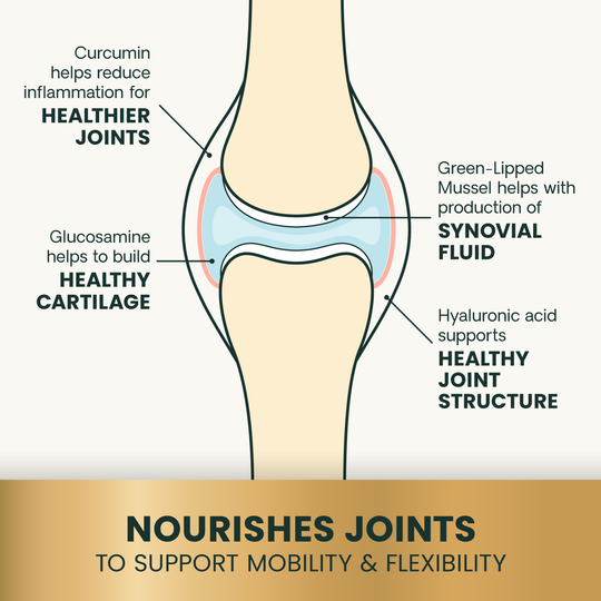 Veterinary Strength Healthy Hip & Joint for Cats