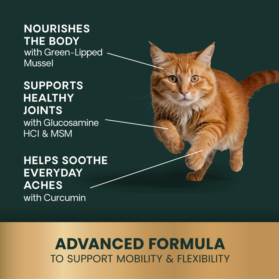 Veterinary Strength Healthy Hip & Joint for Cats
