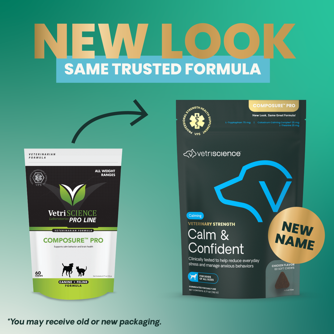 Veterinary Strength Calm & Confident for Dogs