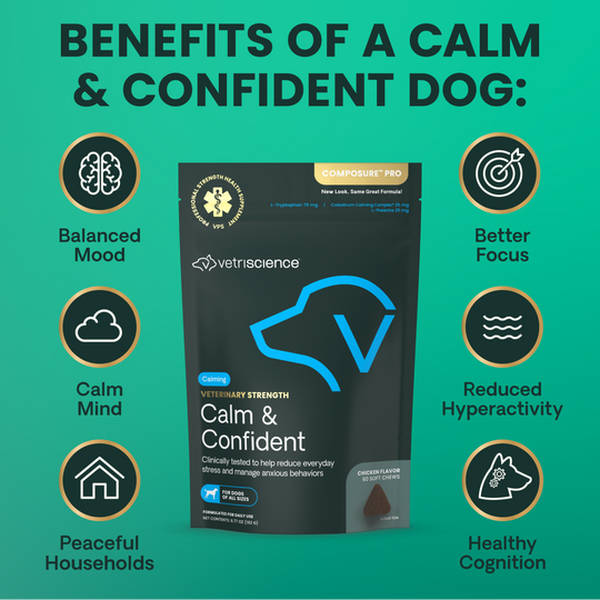 Veterinary Strength Calm & Confident for Dogs