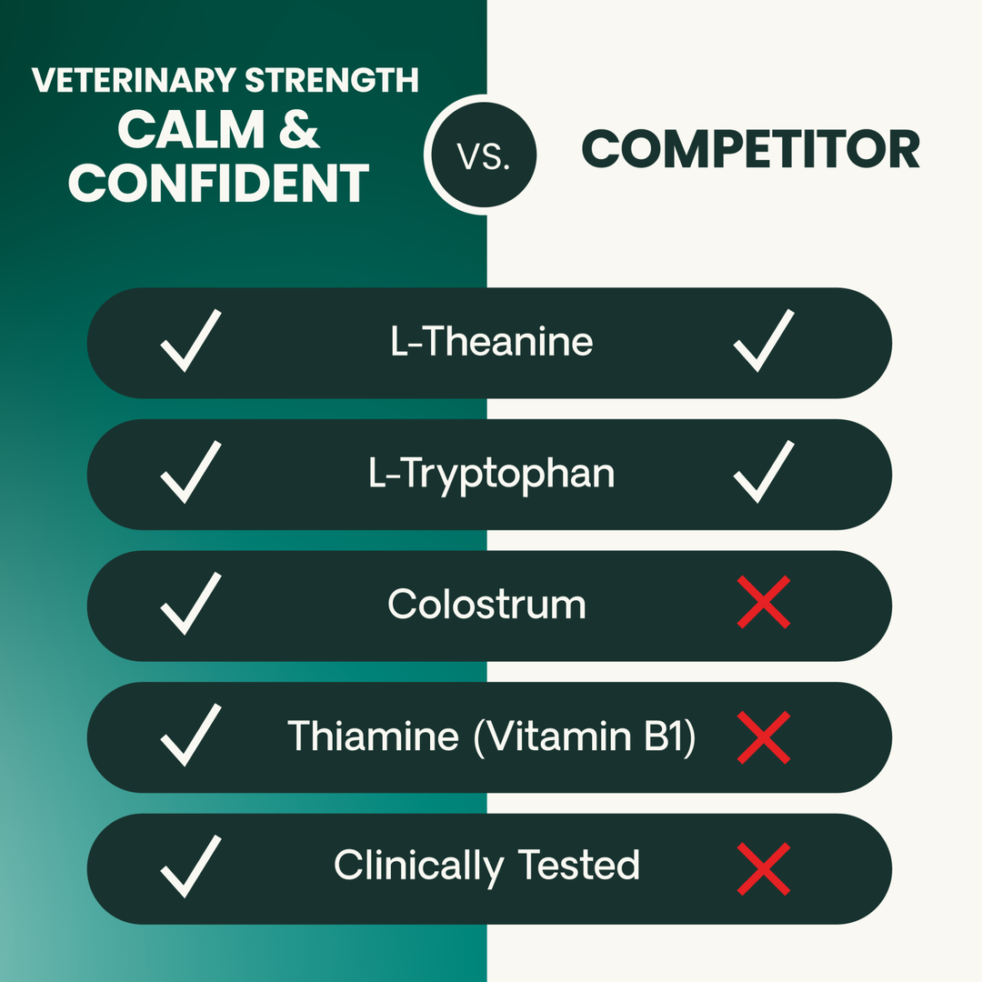 Veterinary Strength Calm & Confident for Dogs