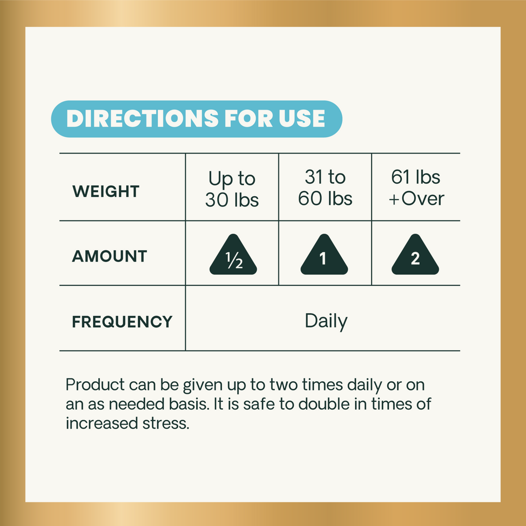 Veterinary Strength Calm & Confident for Dogs