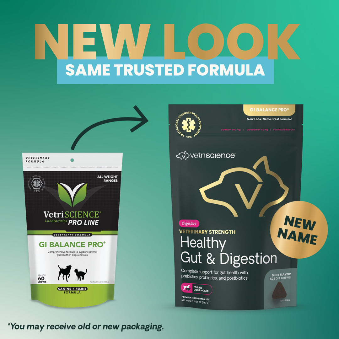 Veterinary Strength Healthy Gut & Digestion for Dogs & Cats