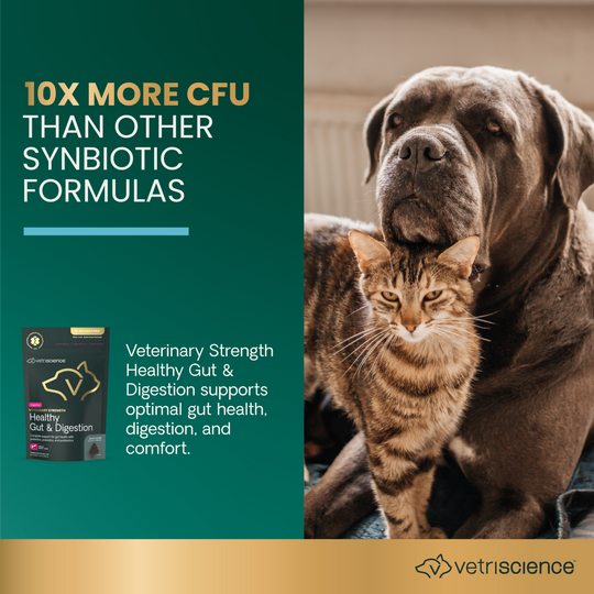 Veterinary Strength Healthy Gut & Digestion for Dogs & Cats