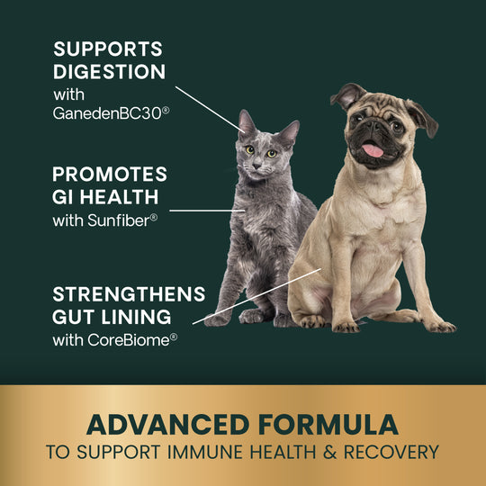 Veterinary Strength Healthy Gut & Digestion for Dogs & Cats