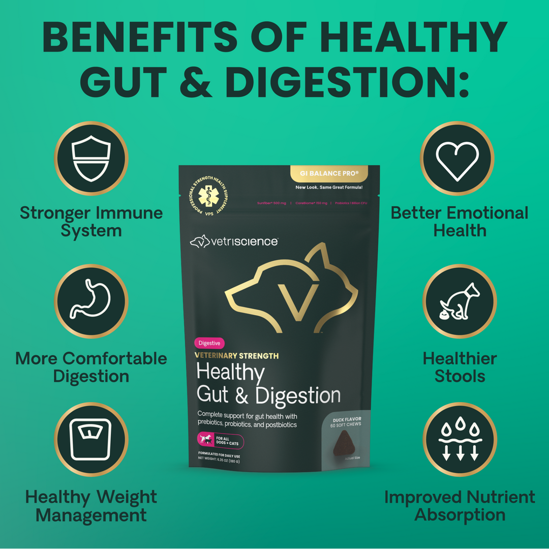 Veterinary Strength Healthy Gut & Digestion for Dogs & Cats