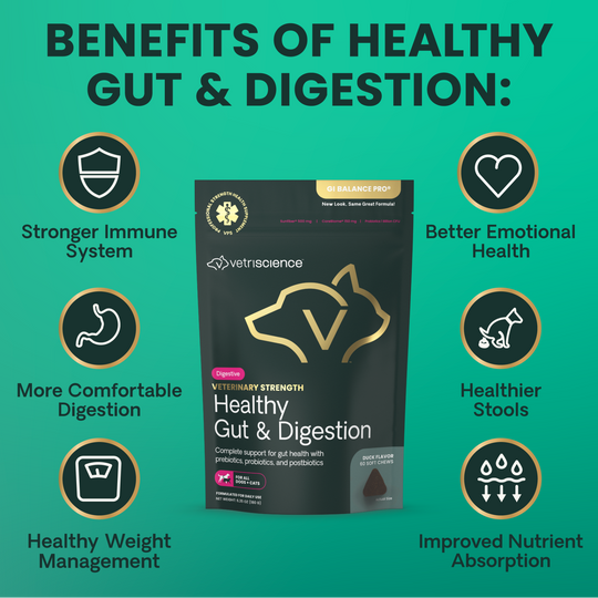 Veterinary Strength Healthy Gut & Digestion for Dogs & Cats