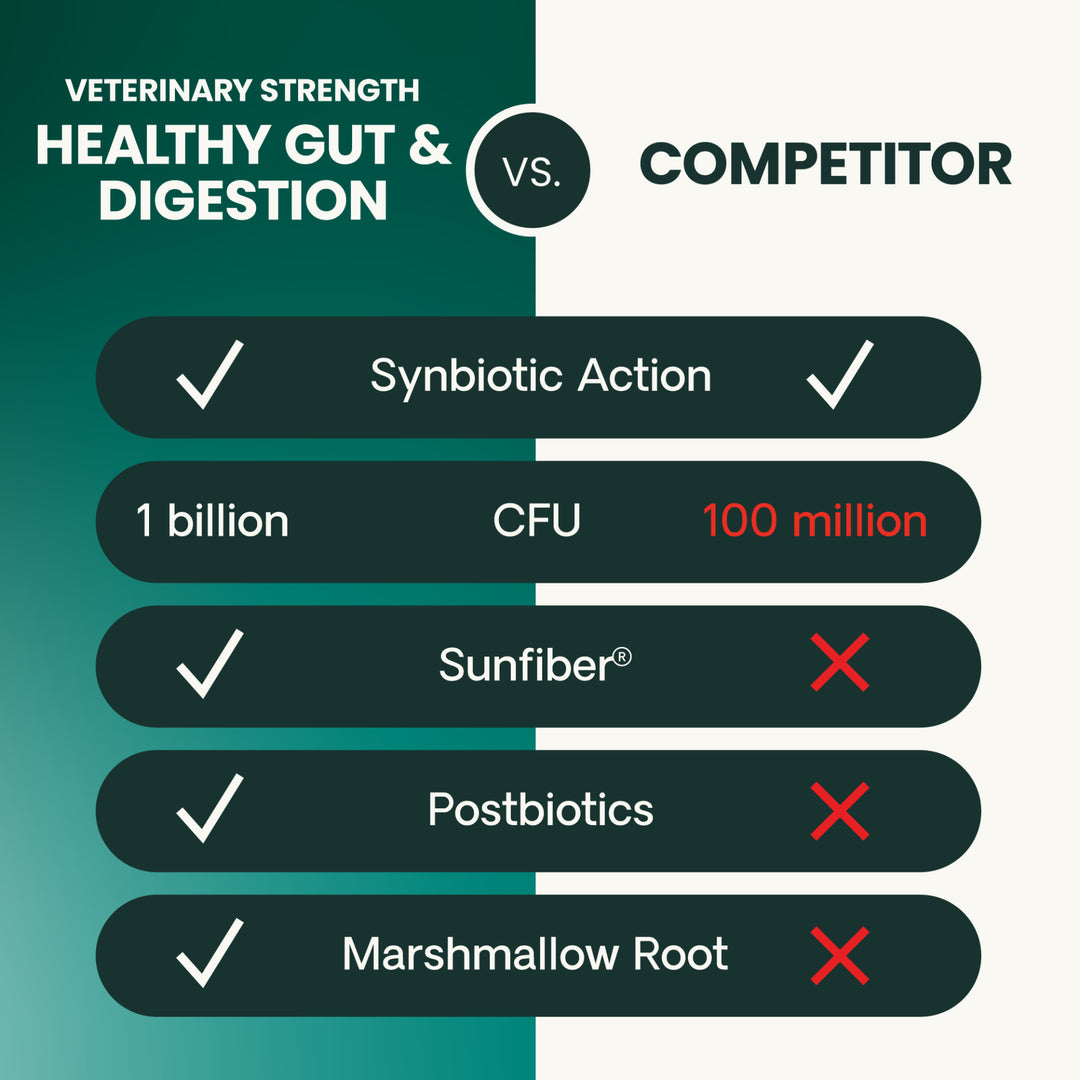 Veterinary Strength Healthy Gut & Digestion for Dogs & Cats