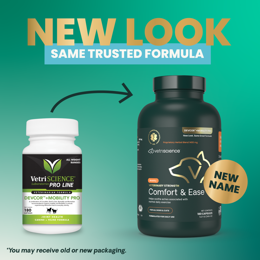 Veterinary Strength Comfort & Ease for Dogs & Cats