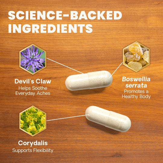 Veterinary Strength Comfort & Ease for Dogs & Cats