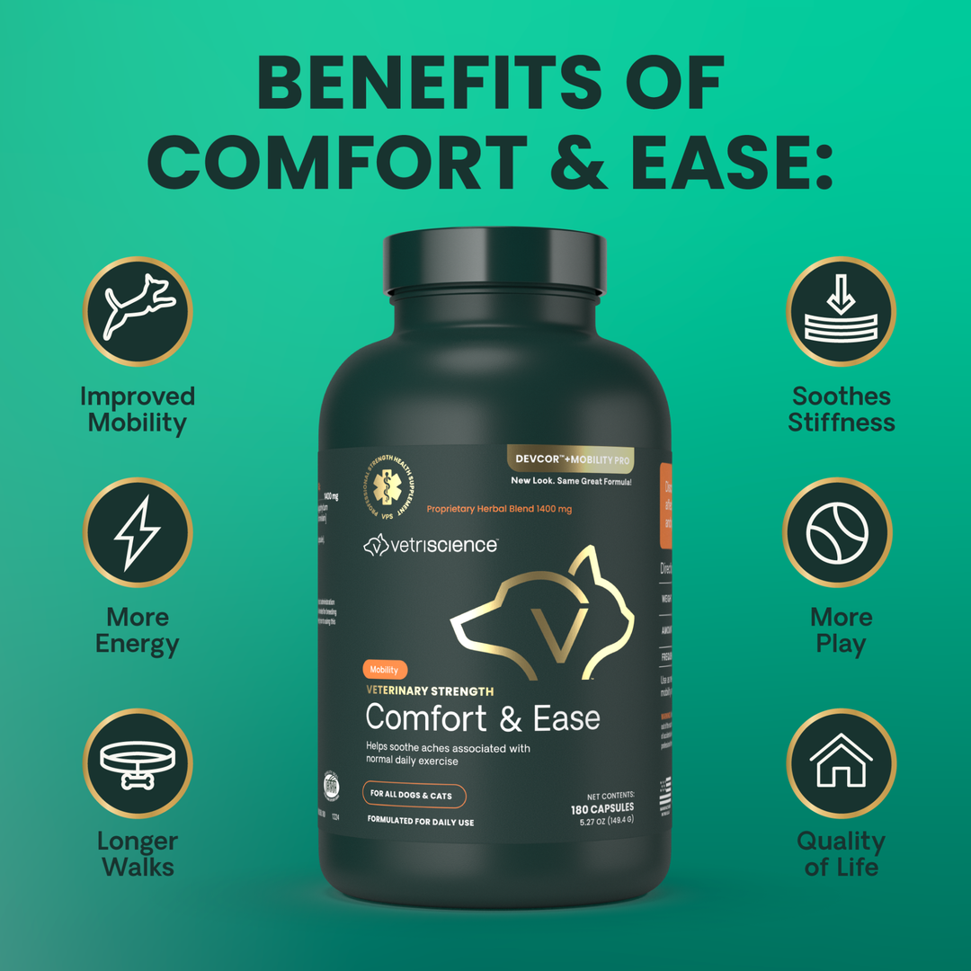 Veterinary Strength Comfort & Ease for Dogs & Cats