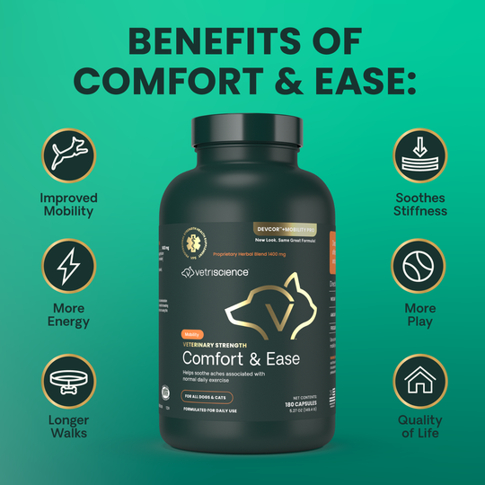 Veterinary Strength Comfort & Ease for Dogs & Cats