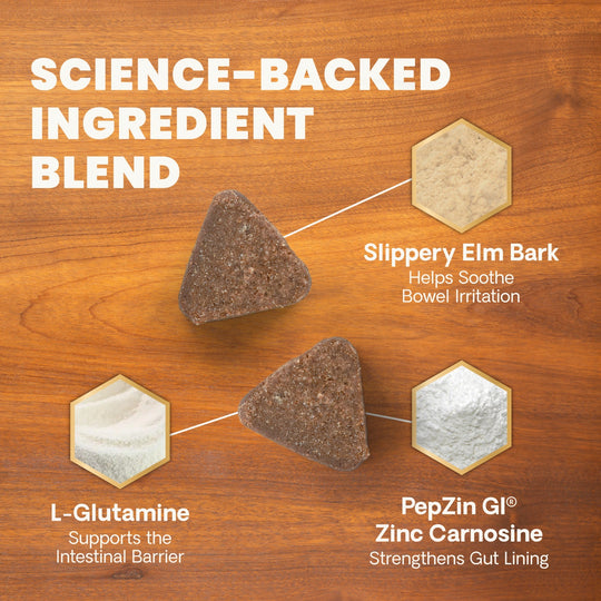 Veterinary Strength Gut & Bowel Support for Dogs & Cats