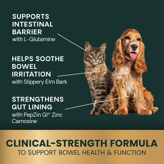 Veterinary Strength Gut & Bowel Support for Dogs & Cats