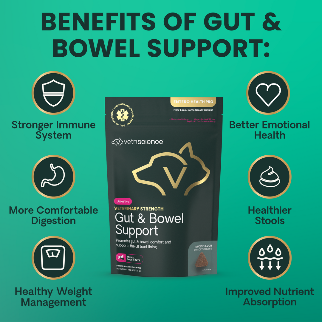 Veterinary Strength Gut & Bowel Support for Dogs & Cats