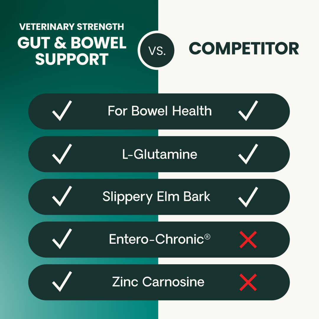 Veterinary Strength Gut & Bowel Support for Dogs & Cats