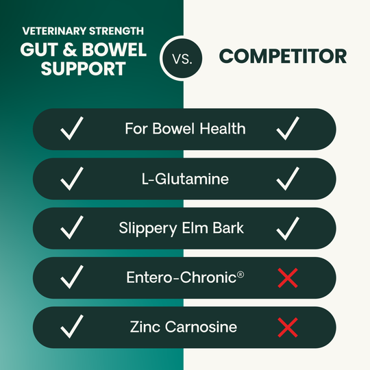 Veterinary Strength Gut & Bowel Support for Dogs & Cats