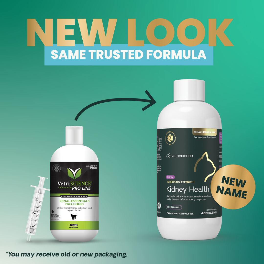 Veterinary Strength Kidney Health Liquid for Cats