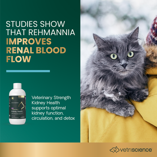 Veterinary Strength Kidney Health Liquid for Cats